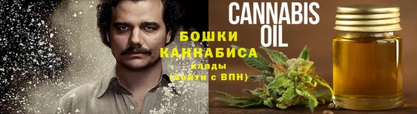 шишки Бронницы