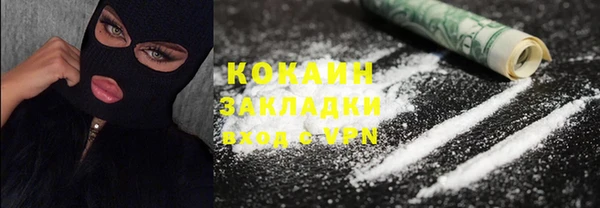 шишки Бронницы