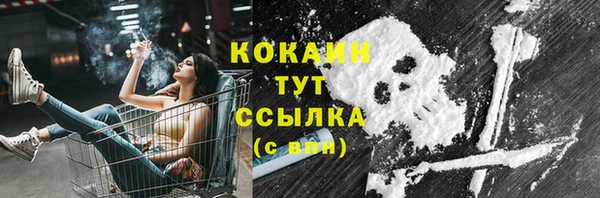 Альфа ПВП Бородино