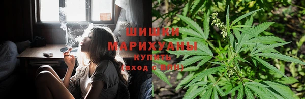 spice Бугульма