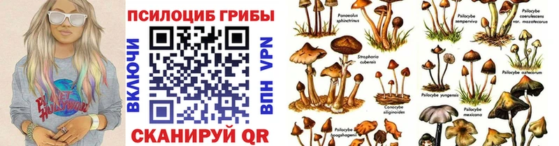 нарко площадка Telegram  Заречный  Галлюциногенные грибы прущие грибы 