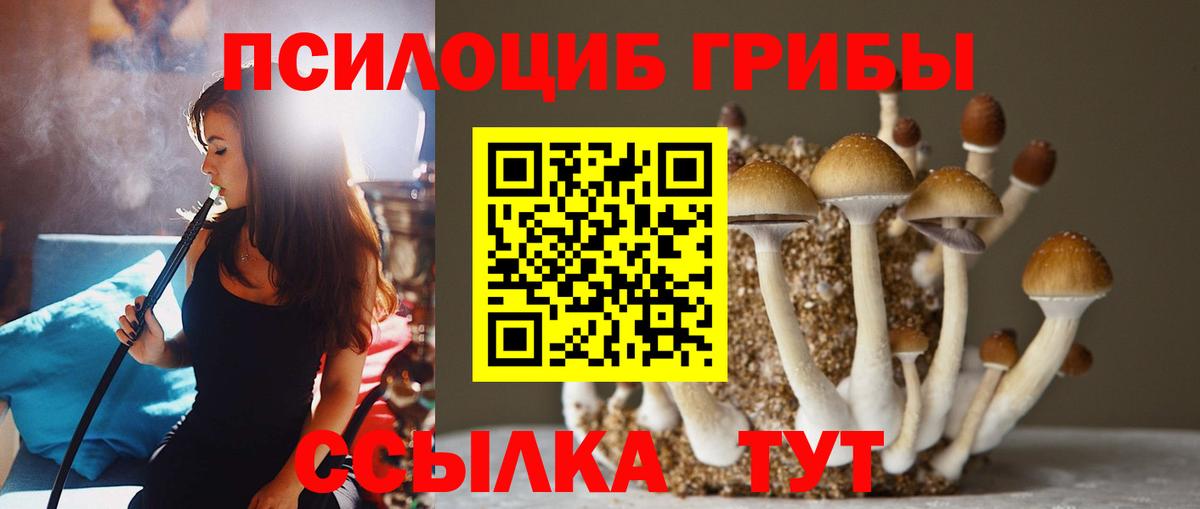 Псилоцибиновые грибы MAGIC MUSHROOMS Заречный