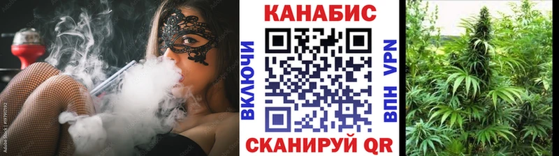 Бошки марихуана гибрид  ОМГ ОМГ маркетплейс  Заречный 